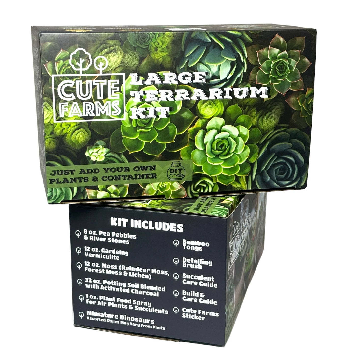 Large Terrarium Kit