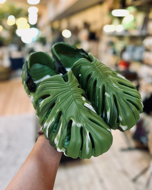 Monstera Slides