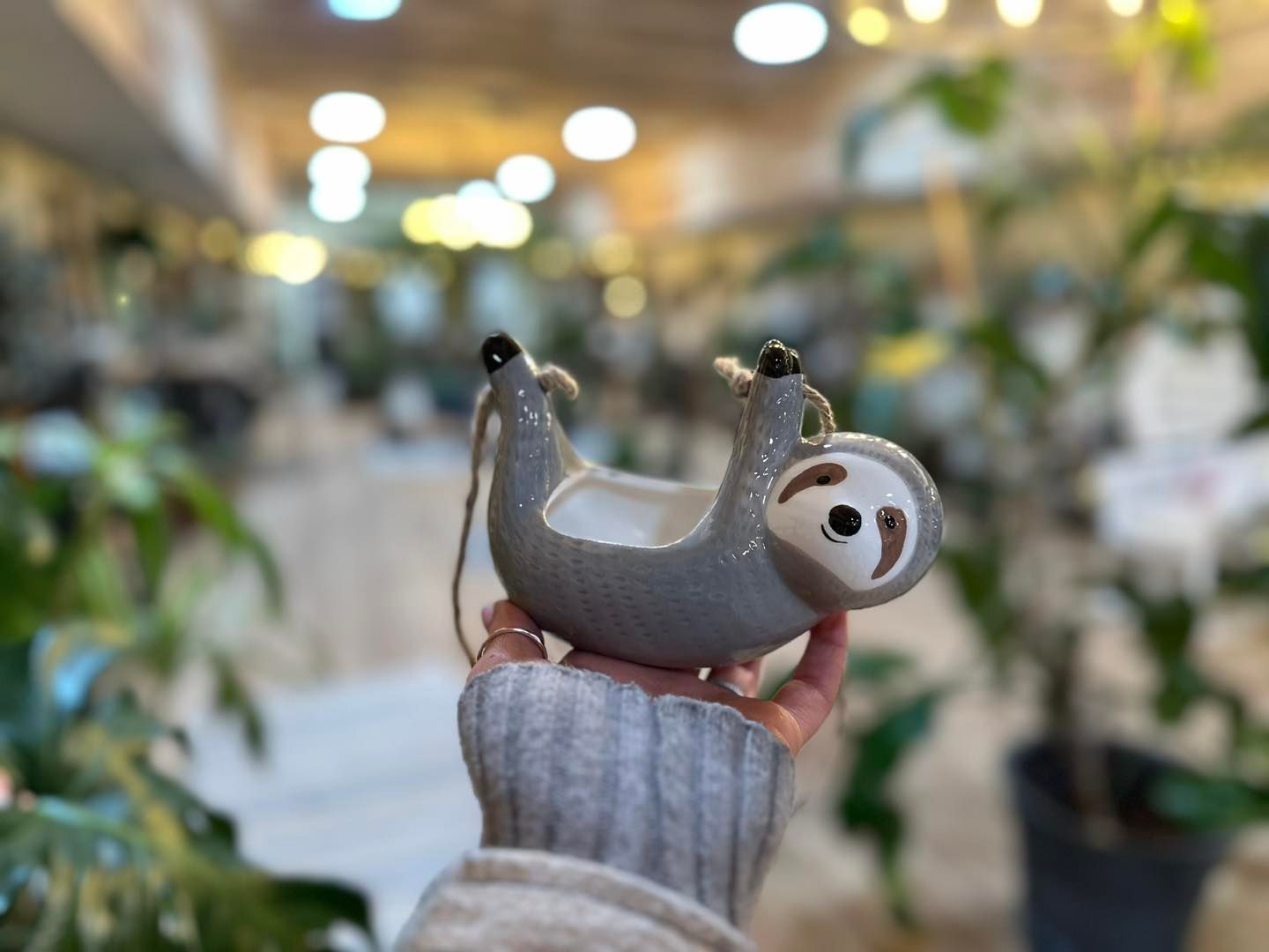 Sloth Planter