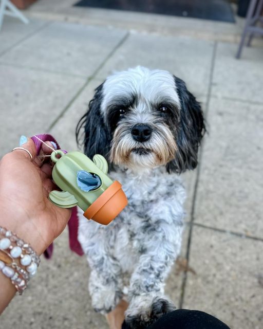 Cactus Poop Bag Dispenser