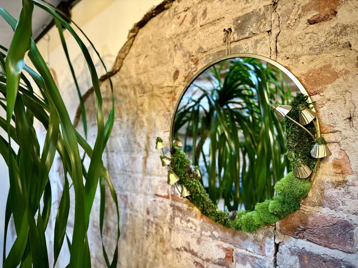 Moss Mirror