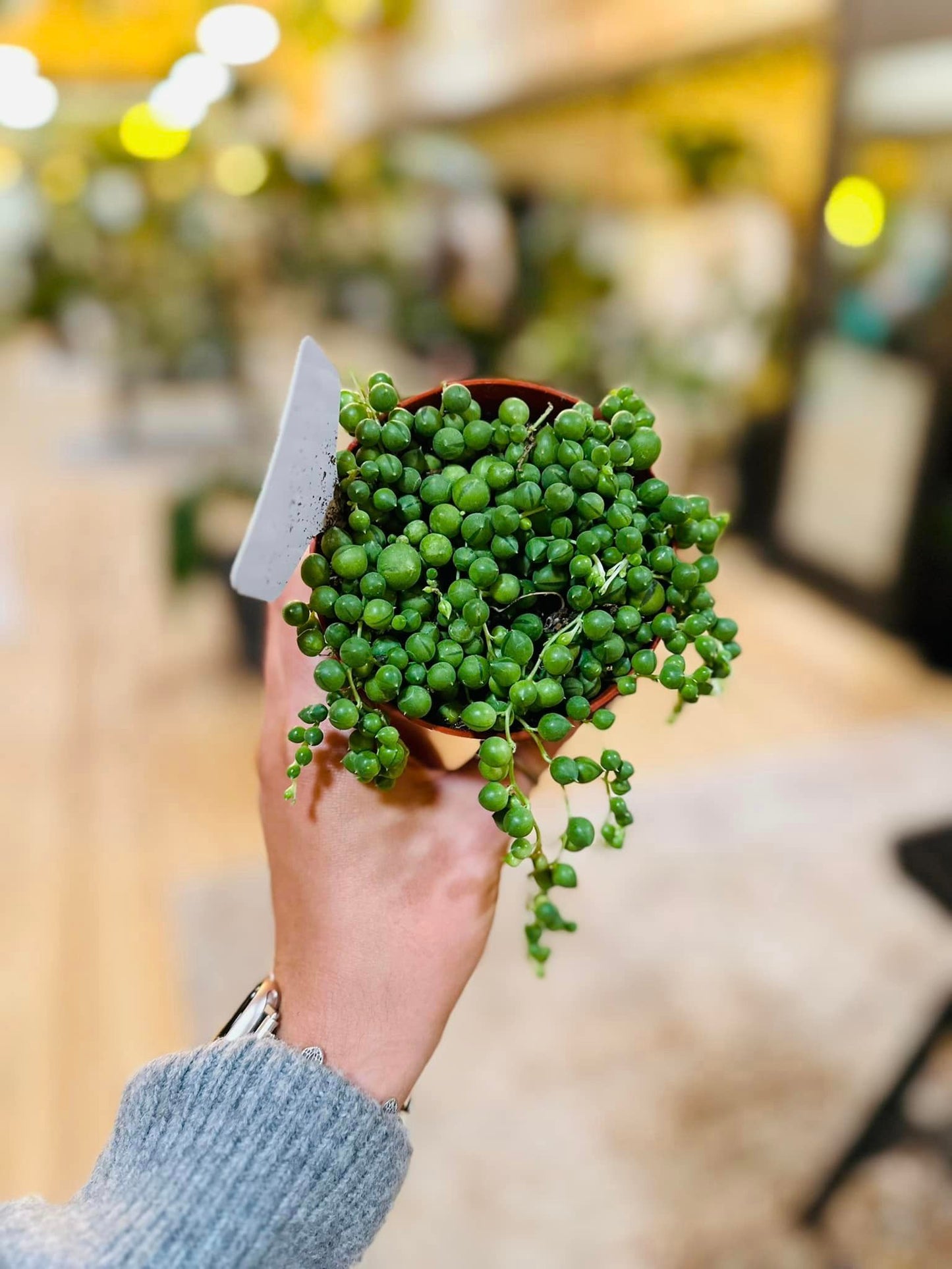 4" String of Pearls