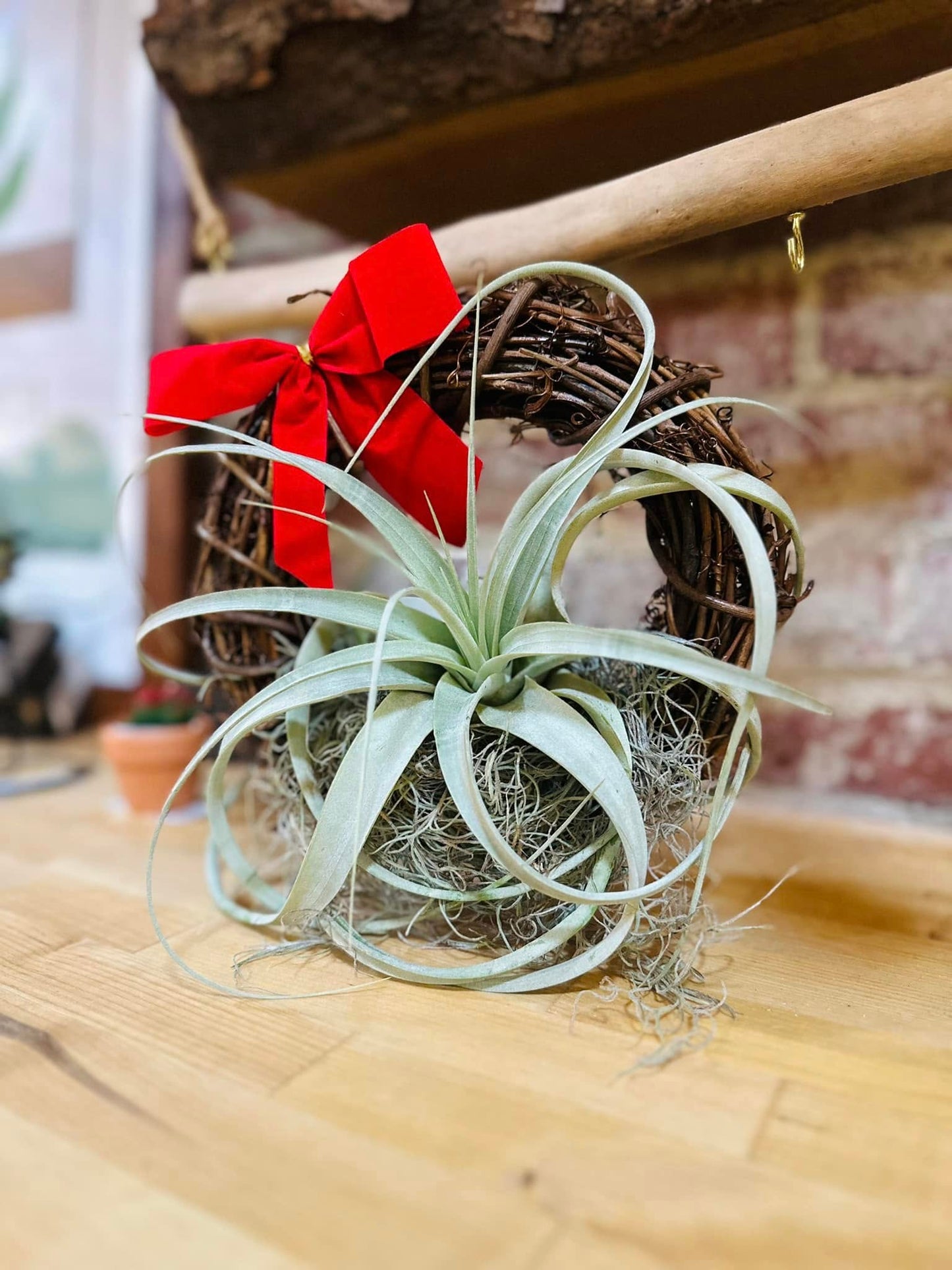 8" Xerographica Wreath