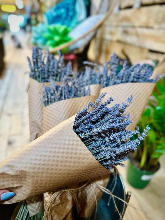 French Lavender Bundle