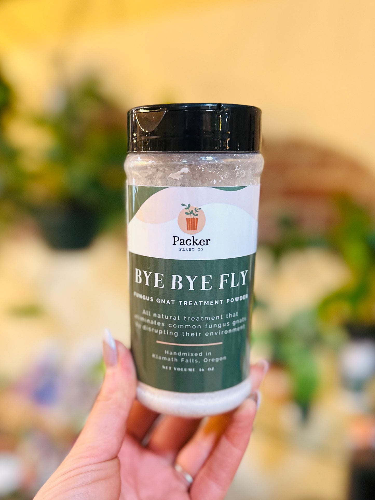 Bye Bye Fly Fungus Gnat Treatment