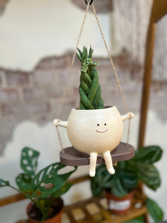 Swing Planter