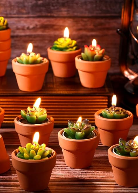 Succulent Tealights