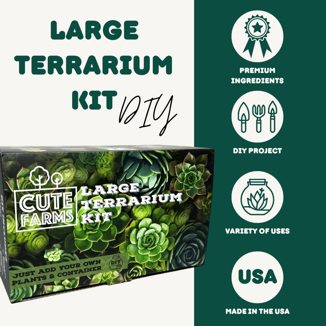 Large Terrarium Kit