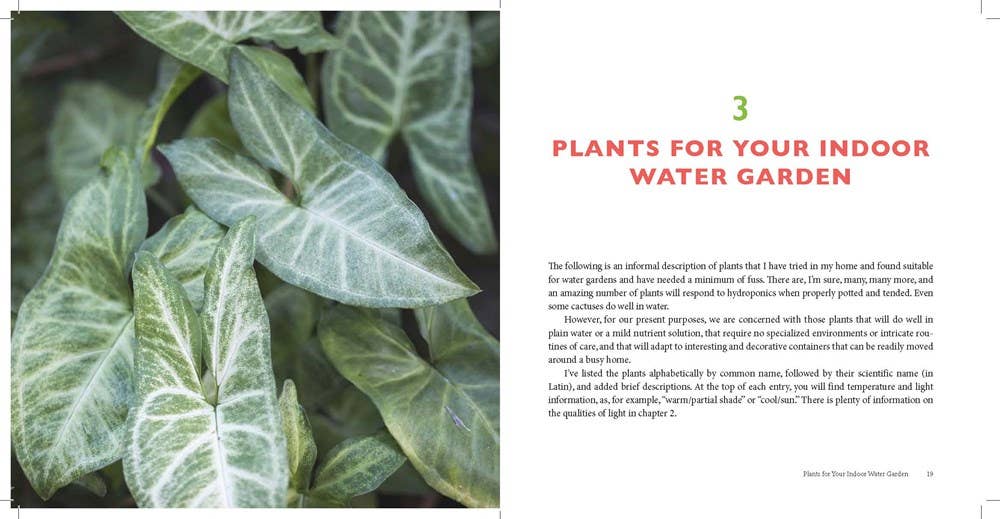 Hydroponics for Houseplants: An Indoor Gardener's Guide