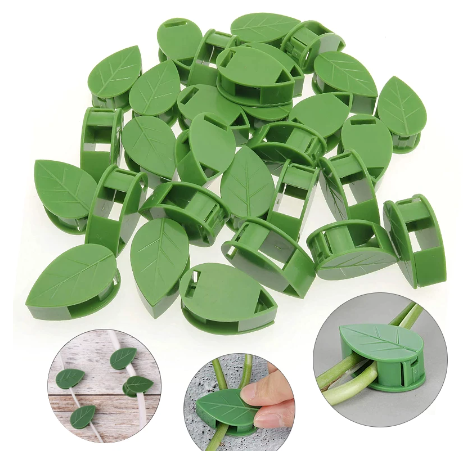 Plant Climbing Wall Clips