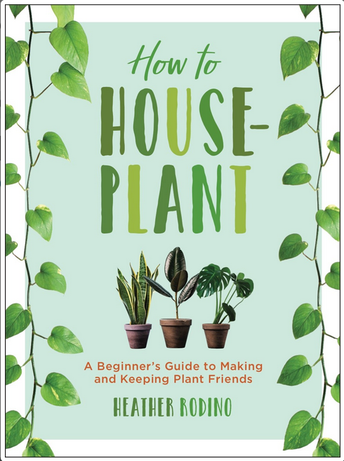 How to Houseplant