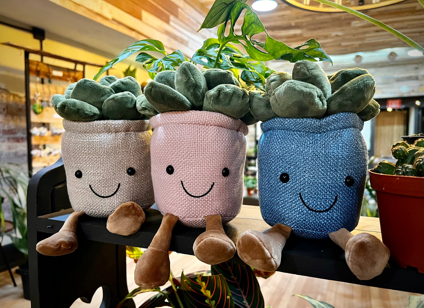 Happy Succulent Plush