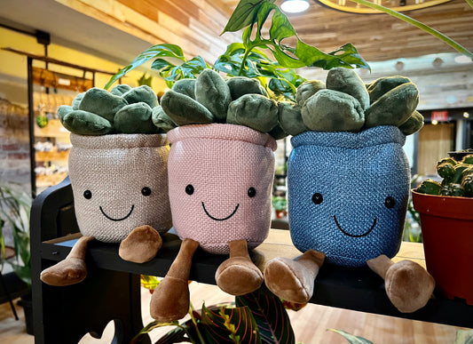 Happy Lil Succulent Plush Keychains